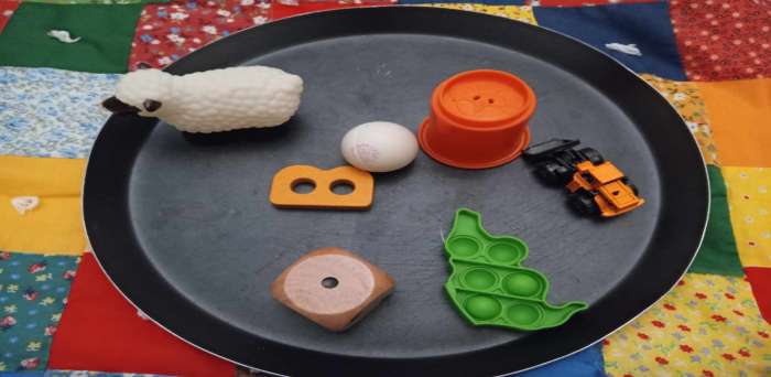 Ένας δίσκος με πολλά αντικείμενα και μια λογική που τα συνδέει! Παιχνίδι ταξινόμησης